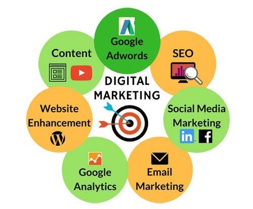 Website Development in Noida